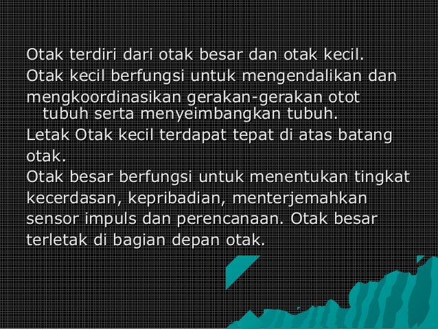 Presentasi sistem saraf