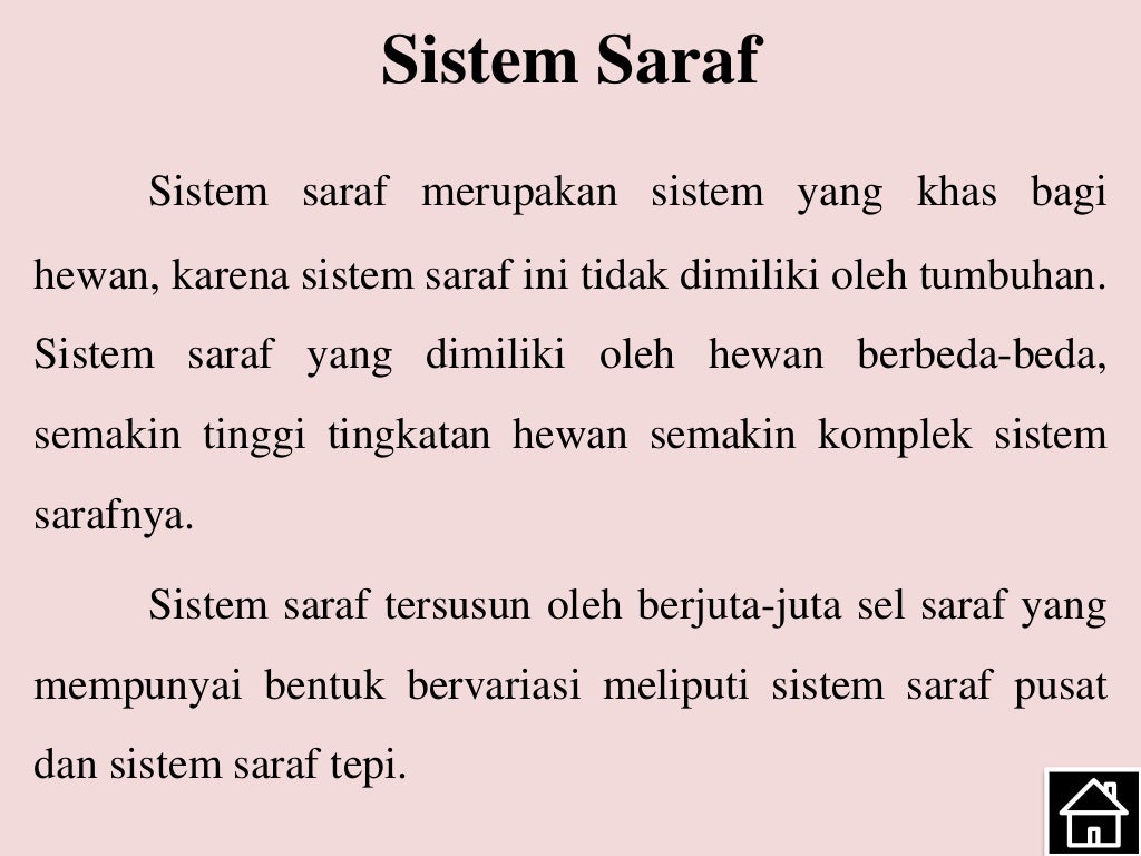 Sistem Saraf Hewan