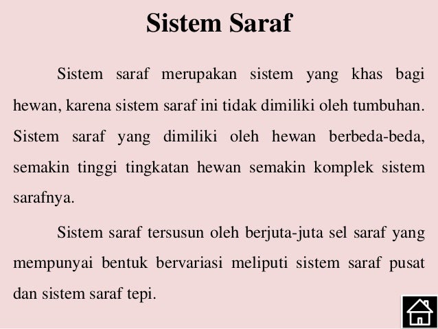 Sistem Saraf Hewan
