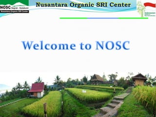 Nusantara Organic SRI Center
 