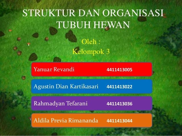 Presentasi Struktur Dan Organisasi Tubuh Hewan