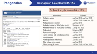 Keunggulan L.plantarum IIA-1A5
Pengenalan
4
Sifat Probiotik Referensi
Antibakteri patogen Arief et al. 2010;Arief et al. 2012
Antidiare Arief et al. 2010;Astawan et al. 2011
Antihipertensi (ACE inhibitor) Arief et al. 2016
Antikanker terhadap sel HeLa (kanker cervix) Ningtiyas et al. 2021
Antikanker terhadap sel WiDr (kanker kolorektal) Adiyoga et al. 2022
Antikolesterol Burhan et al. 2017
Biopreservative pangan Arief et al. 2012
Mampu menempel pada permukaan usus besar Arief et al. 2010
Immunomodulator Astawan et al. 2011
Produksi plantaricin (bakteriosin) Arief et al. 2013
Tahan terhadap garam empedu Arief et al. 2010
Toleran terhadap pH rendah Arief et al. 2010;Arief et al. 2013
Probiotik L. plantarum IIA – 1A5
 