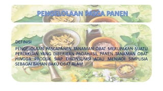 DEFINISI
PENGELOLAAN PASCAPANEN TANAMAN OBAT MERUPAKAN SUATU
PERLAKUAN YANG DIBERIKAN PADAHASIL PANEN TANAMAN OBAT
HINGGA PRODUK SIAP DIKONSUMSI ATAU MENJADI SIMPLISIA
SEBAGAI BAHAN BAKU OBAT ALAM.
 