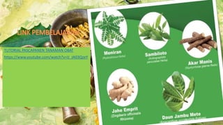 TUTORIAL PASCAPANEN TANAMAN OBAT
https://www.youtube.com/watch?v=IJ_JA03QzeY
 