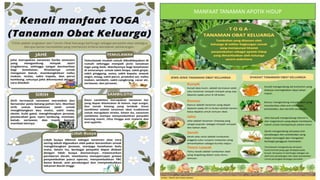 MANFAAT TANAMAN APOTIK HIDUP
 