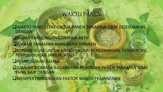 WAKTU PANEN
WAKTU YANG TEPAT UNTUK PANEN TANAMAN OBAT DISESUAIKAN
DENGAN :
KADAR KANDUNGAN SENYAWA AKTIF
BAGIAN TANAMAN YANG AKAN DIPANEN
KONDISI IKLIM UNTUK MENGHINDARI PENGERINGAN, FERMENTASI,
PERTUMBUHAN JAMUR, ATAU
PEMBUSUKAN BAHAN
JUMLAH BIOMASA BAGAIMANA PEDOMAN PANEN TANAMAN OBAT
YANG BAIK DENGAN
MEMPERTIMBANGKAN FAKTOR WAKTU PEMANENAN
 