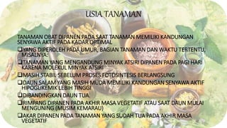 USIA TANAMAN
TANAMAN OBAT DIPANEN PADA SAAT TANAMAN MEMILIKI KANDUNGAN
SENYAWA AKTIF PADA KADAR OPTIMAL
YANG DIPEROLEH PADA UMUR, BAGIAN TANAMAN DAN WAKTU TERTENTU,
MISALNYA:
TANAMAN YANG MENGANDUNG MINYAK ATSIRI DIPANEN PADA PAGI HARI
KARENA MOLEKUL MINYAK ATSIRI
MASIH STABIL SEBELUM PROSES FOTOSINTESIS BERLANGSUNG
DAUN SALAM YANG MASIH MUDA MEMILIKI KANDUNGAN SENYAWA AKTIF
HIPOGLIKEMIK LEBIH TINGGI
DIBANDINGKAN DAUN TUA.
RIMPANG DIPANEN PADA AKHIR MASA VEGETATIF ATAU SAAT DAUN MULAI
MENGUNING (MUSIM KEMARAU)
AKAR DIPANEN PADA TANAMAN YANG SUDAH TUA PADA AKHIR MASA
VEGETATIF
 