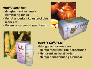 Antilipemic Tea Menghancurkan lemak Membuang racun Menghancurkan kolesterol dan  asam urat - Melancarkan peredaran darah Double Cellulose Mengatasi kanker usus Memperbaiki saluran pencernaan Menurunkan berat badan - Memperlancar buang air besar 