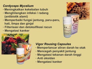 Cordyceps Mycelium Meningkatkan kekebalan tubuh Menghilangkan infeksi / radang  (antibiotik alami) Memperbaiki fungsi jantung, paru-paru,  hati, limpa dan ginjal Filterisasi dan detoksifikasi racun Mengatasi kanker Vigor Rousing Capsules Memperlancar aliran darah ke otak Mencegah penyakit jantung Mengatasi tekanan darah tinggi Anti oksidan Mengatasi kanker 