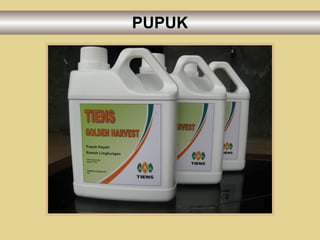 PUPUK 