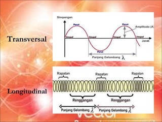 Transversal




Longitudinal
 