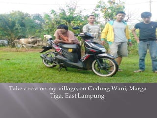 Take a rest on my village, on Gedung Wani, Marga
Tiga, East Lampung.
 