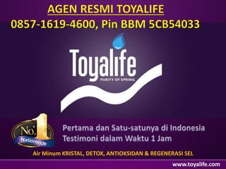 www.toyalife.com
Air Minum KRISTAL, DETOX, ANTIOKSIDAN & REGENERASI SEL
 