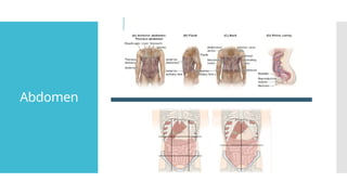 Tumpul presentasi trauma tumpul pengertian, algoritma | PPTX