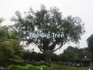 Tugas PLKJ "Hunting Park Pictures" Iqtashada 7C | PPT