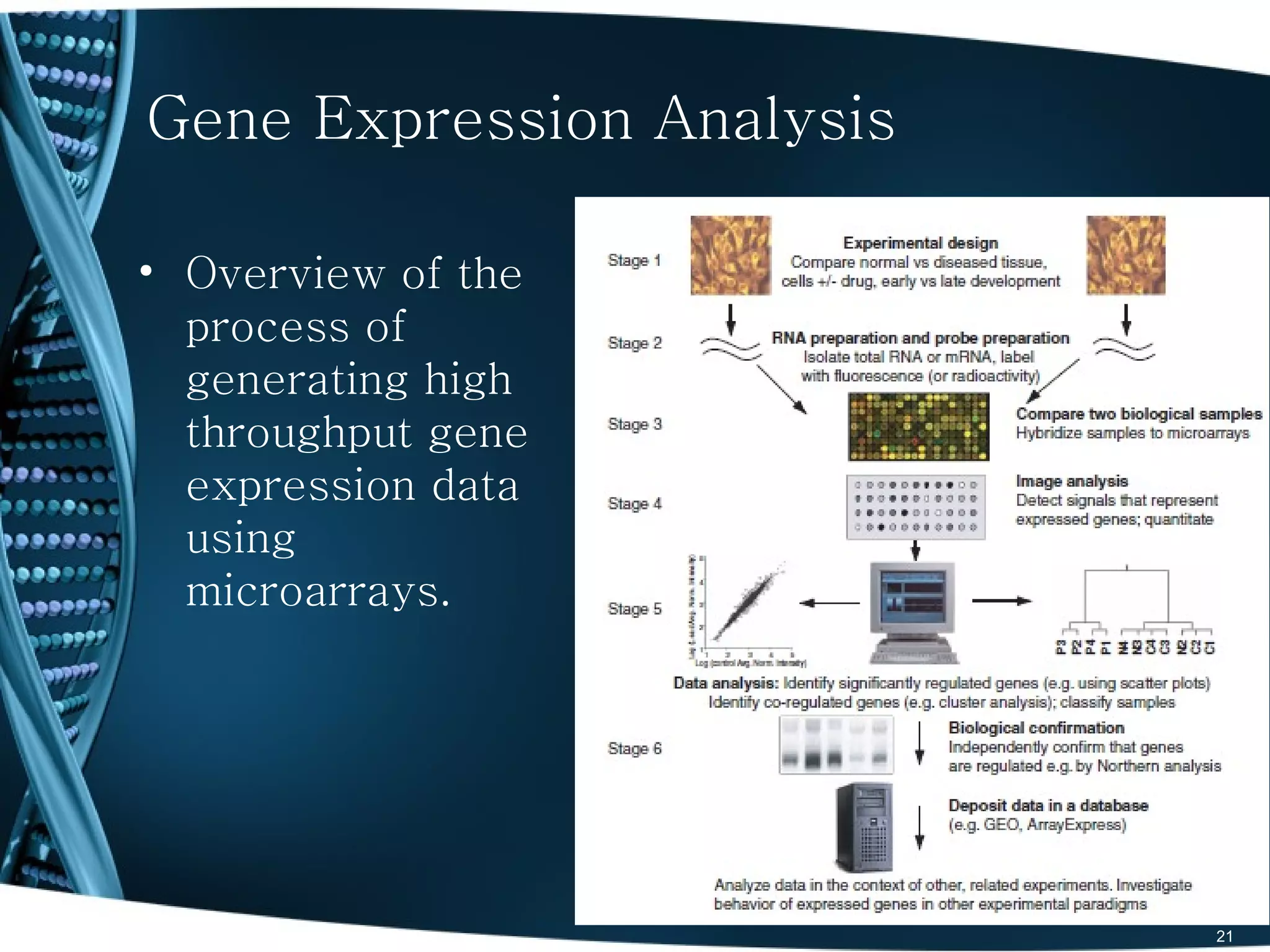 Gene Expression Analysis

• Overview of the
  process of
  generating high
  throughput gene
  expression data
  using
  microarrays.




                           21
 