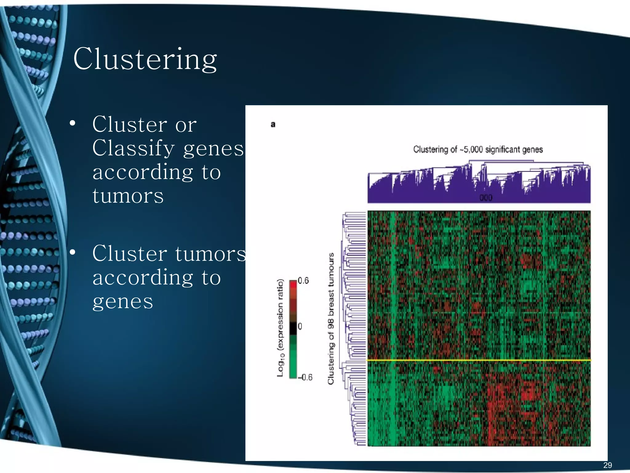 Clustering

• Cluster or
  Classify genes
  according to
  tumors

• Cluster tumors
  according to
  genes




                   29
 