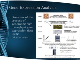 Gene Expression Analysis

• Overview of the
  process of
  generating high
  throughput gene
  expression data
  using
  microarrays.




                           21
 
