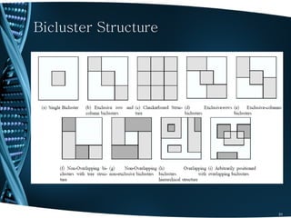 Bicluster Structure




                      31
 