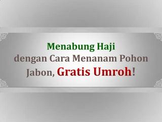 SpSp
Menabung Haji
dengan Cara Menanam Pohon
Jabon, !
 