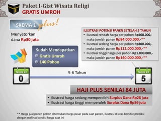 Sp
Paket I-Gist Wisata Religi
Menyetorkan
dana Rp30 juta
SKEMA 1
Sudah Mendapatkan
Gratis Umroh
140 Pohon
** Harga jual panen pohon ditentukan harga pasar pada saat panen, ilustrasi di atas bersifat prediksi
dengan melihat kondisi harga saat ini
ILUSTRASI POTENSI PANEN SETELAH 5 TAHUN
• Ilustrasi rendah harga per pohon Rp600.000,-
maka jumlah panen Rp84.000.000,-**
• Ilustrasi sedang harga per pohon Rp800.000,-
maka jumlah panen Rp112.000.000,-**
• Ilustrasi tinggi harga per pohon Rp1.000.000,-
maka jumlah panen Rp140.000.000,-**
5-6 Tahun
• Ilustrasi harga sedang memperoleh Surplus Dana Rp28 juta
• Ilustrasi harga tinggi memperoleh Surplus Dana Rp56 juta
 
