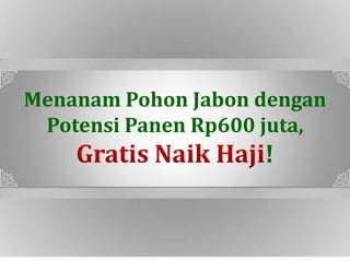 SpSp
Menanam Pohon Jabon dengan
Potensi Panen Rp600 juta,
!
 