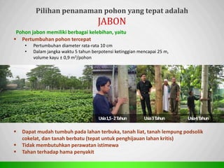 Sp
Pohon jabon memiliki berbagai kelebihan, yaitu
Pilihan penanaman pohon yang tepat adalah
 Pertumbuhan pohon tercepat
• Pertumbuhan diameter rata-rata 10 cm
• Dalam jangka waktu 5 tahun berpotensi ketinggian mencapai 25 m,
volume kayu ± 0,9 m3/pohon
 Dapat mudah tumbuh pada lahan terbuka, tanah liat, tanah lempung podsolik
cokelat, dan tanah berbatu (tepat untuk penghijauan lahan kritis)
 Tidak membutuhkan perawatan istimewa
 Tahan terhadap hama penyakit
Usia1,5-2Tahun Usia3Tahun Usia4Tahun
 