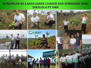 Sp
KUNJUNGAN KE LAHAN JABON CIANJUR DAN SUMEDANG YANG
DIKELOLA PT GMN
 