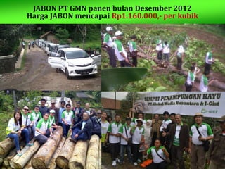 JABON PT GMN panen bulan Desember 2012
Harga JABON mencapai Rp1.160.000,- per kubik
 