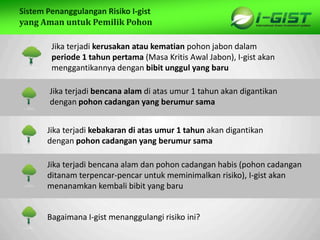 Sp
Sistem Penanggulangan Risiko I-gist
yang Aman untuk Pemilik Pohon
Jika terjadi kerusakan atau kematian pohon jabon dalam
periode 1 tahun pertama (Masa Kritis Awal Jabon), I-gist akan
menggantikannya dengan bibit unggul yang baru
Jika terjadi bencana alam di atas umur 1 tahun akan digantikan
dengan pohon cadangan yang berumur sama
Jika terjadi kebakaran di atas umur 1 tahun akan digantikan
dengan pohon cadangan yang berumur sama
Jika terjadi bencana alam dan pohon cadangan habis (pohon cadangan
ditanam terpencar-pencar untuk meminimalkan risiko), I-gist akan
menanamkan kembali bibit yang baru
Bagaimana I-gist menanggulangi risiko ini?
 