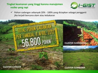 Sp
Tingkat keamanan yang tinggi karena manajemen
resiko yang rapi
 Pohon cadangan sebanyak 20% - 100% yang disiapkan sebagai pengganti
jika terjadi bencana alam atau kebakaran
CLUSTER CIANJUR
CLUSTER SUMEDANG
CLUSTER SUMBAWA
 
