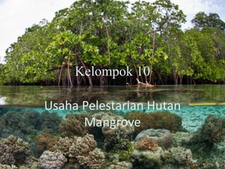 Kelompok 10
Usaha Pelestarian Hutan
Mangrove
 