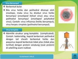 KLASIFIKASI VIRUS
 Berbentuk bulat
 Bila virus heliks dan polihedral ditutupi oleh
envelope, maka virus itu disebut virus heliks
bersampul (enveloped helical virus) atau virus
polihedral bersampul (enveloped polyhedral
virus). Contoh: virus influenza (heliks bersampul),
virus herpes simpleks (polihedral bersampul).
 Memiliki struktur yang kompleks (complicated).
Contoh: bakteriofag, kapsid berbentuk polihedral
dengan tail sheath berbentuk heliks dan
poxyvirus kapsid berbentuk tidak jelas (tidak jelas
terlihat) dengan protein selubung (coat protein)
di sekeliling asam nukleat.
Virus Bersampul
Virus kompleks
 
