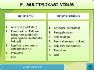 SIKLUS LITIK
1. Adsorpsi (pelekatan)
2. Penetrasi dan Eklifase
(virus mengambil alih
perlengkapan metabolik
bakteri)
3. Replikasi dan sintesis
komponen virus
4. Perakitan
5. Lisis
SIKLUS LISOGENIK
1. Adsorpsi (pelekatan)
2. Penggabungan
3. Pembelahan
4. Pemisahan asam nukleat
5. Replikasi dan sintesis
6. Perakitan
7. Lisis
MULTIPLIKASI VIRUS
F. MULTIPLIKASI VIRUS
 