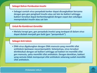• Sebagai contoh virus penyebab kanker dapat dicangkokkan bersama
dengan gen-gen penghasil insulin atau zat lain ke bakteri sehingga
bakteri tersebut dapat berkembangbiak dengan cepat dan sekaligus
memproduksi insulin atau zat lain
Sebagai Bahan Pembuatan Insulin
• Melalui terapi gen, gen penyebab inveksi yang terdapat di dalam virus
dapat diubah menjadi gen baik (gen “penyembuh”)
Untuk Re-Kombinasi Genetika
• DNA virus digabungkan dengan DNA manusia yang memiliki sifat
antitoksin (pelawan racun/penyakit). Selanjutnya, virus tersebut
diinfeksikan dengan sel bakteri sehingga sel bakteri ini memiliki sifat
gen manusia, yaitu memiliki sifat antitoksin. Dengan demikian, bakteri
yang semula tidak mempunyai sifat antitoksin sekarang sudah memiliki
sifat antitoksin.
Sebagai Anti-toksin
PERANAN VIRUS
 