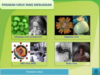 Influenza virus (Cronavirus)
AIDS virus (HIV) Ebola virus
Hepatitis virus
PERANAN VIRUS
PERANAN VIRUS YANG MERUGIKAN
 