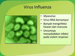 Virus Influenza
• Myxovirus
• Virus RNA bersampul
• Banyak menginfeksi
hewan dan manusia
• Umumnya
menyebabkan infeksi
pada sistem respirasi
 