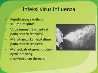 Infeksi virus Influenza
• Penularannya melalui
saluran respirasi
• Virus menginfeksi sel-sel
pada sistem respirasi
• Menghancurkan epitalium
pada sistem respirasi
• Mengubah ekspresi protein
cytokinin yang
menyebabkan demam
 