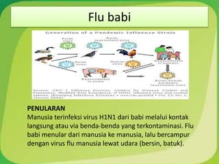 Flu babi
PENULARAN
Manusia terinfeksi virus H1N1 dari babi melalui kontak
langsung atau via benda-benda yang terkontaminasi. Flu
babi menular dari manusia ke manusia, lalu bercampur
dengan virus flu manusia lewat udara (bersin, batuk).
 