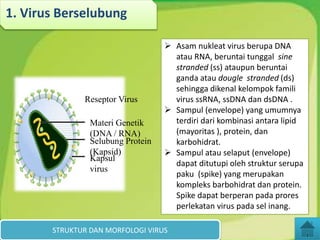 1. Virus Berselubung
STRUKTUR DAN MORFOLOGI VIRUS
Materi Genetik
(DNA / RNA)
Selubung Protein
(Kapsid)
Kapsul
virus
Reseptor Virus
 Asam nukleat virus berupa DNA
atau RNA, beruntai tunggal sine
stranded (ss) ataupun beruntai
ganda atau dougle stranded (ds)
sehingga dikenal kelompok famili
virus ssRNA, ssDNA dan dsDNA .
 Sampul (envelope) yang umumnya
terdiri dari kombinasi antara lipid
(mayoritas ), protein, dan
karbohidrat.
 Sampul atau selaput (envelope)
dapat ditutupi oleh struktur serupa
paku (spike) yang merupakan
kompleks barbohidrat dan protein.
Spike dapat berperan pada prores
perlekatan virus pada sel inang.
 