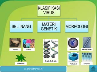 KLASIFIKASI
VIRUS
SEL INANG
MATERI
GENETIK
MORFOLOGI
DNA & RNA
KLASIFIKASI VIRUS
Bersampul
Polihedral
Batang/heliks
Kompleks
Hewan Bakteri
Tumbuhan
 