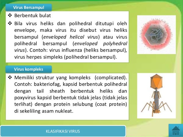 Virus data