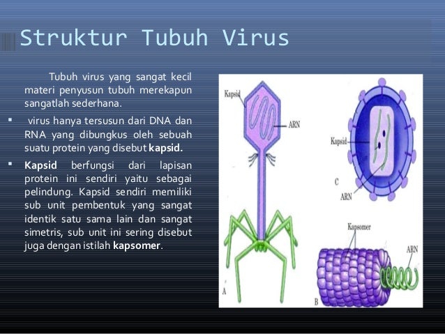 Mikrobiologi Virus