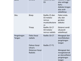 presentasi zoom tonus-kekuatan.pptx