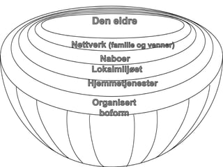 Prosjektleder i Oslo kommune Unni Hembre: Seniormeldingen for Oslo