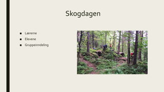 Skogdagen
■ Lærerne
■ Elevene
■ Gruppeinndeling
 