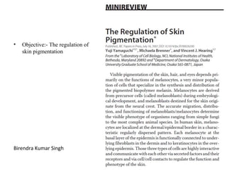 •   Objective:- The regulation of
    skin pigmentation




Birendra Kumar Singh
 
