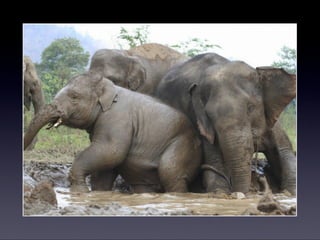 Creatief met Leegstand