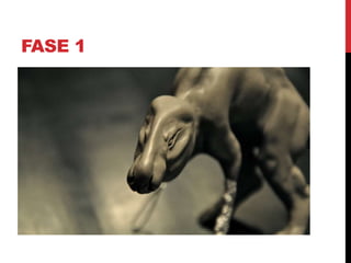 FASE 1
 
