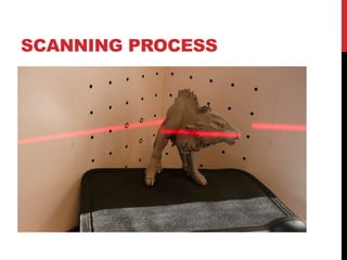SCANNING PROCESS
 